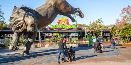 What You Need to Know About California Zoos and Aquariums
