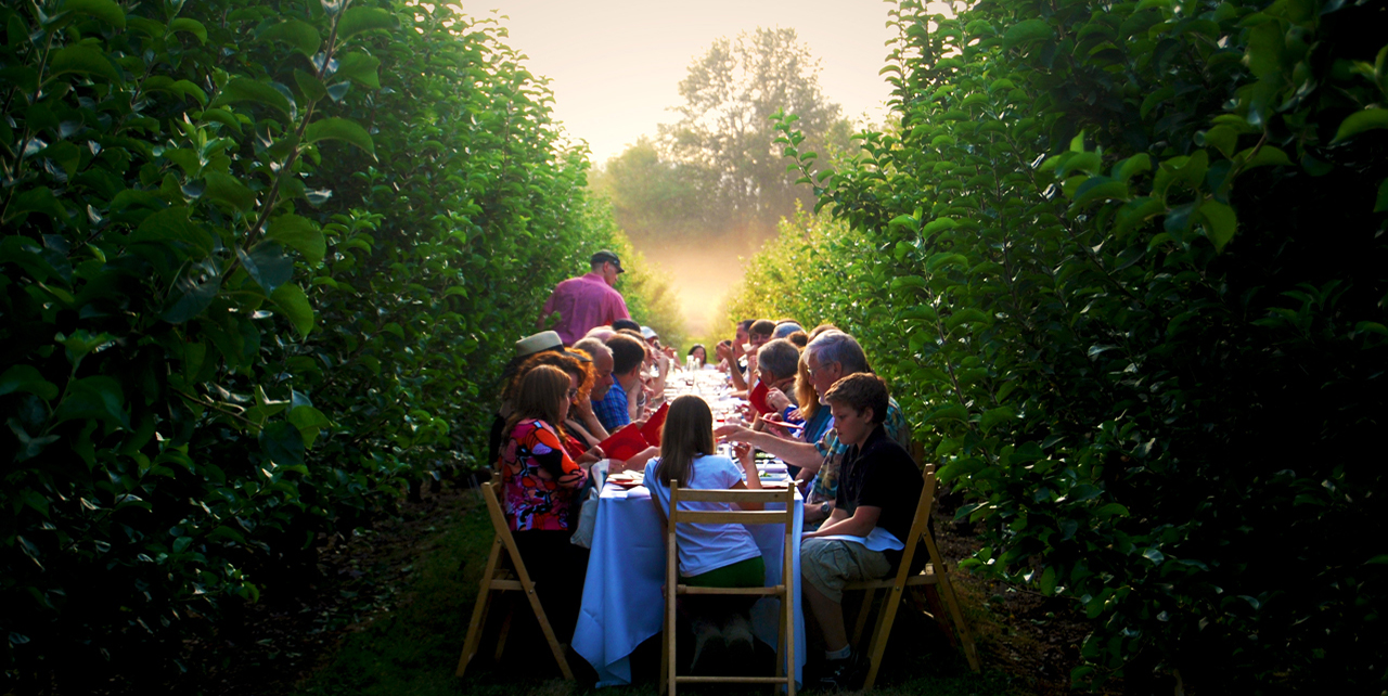 IV. How Farm-to-Table Dining Works
