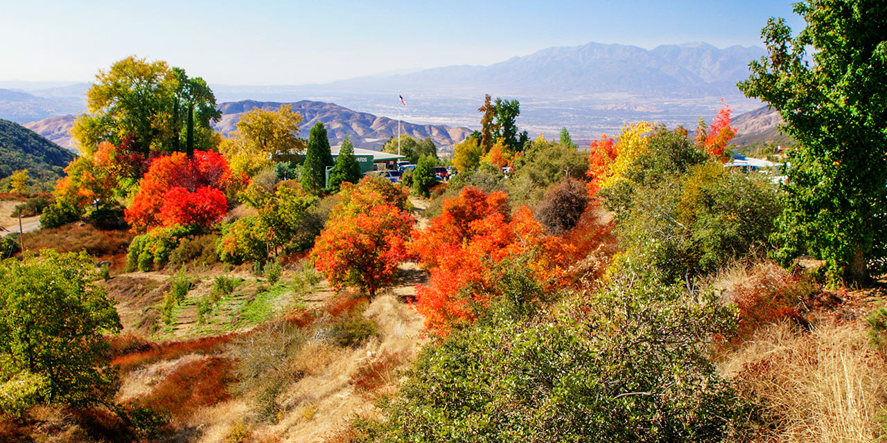 Fall Color in Oak Glen | Visit California