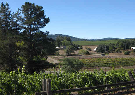 Regione dei vini a Mendocino 