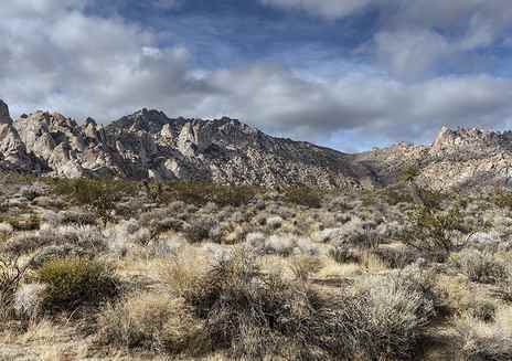 Reserva Nacional Mojave