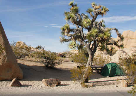 Camping in Joshua Tree