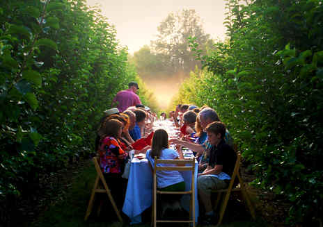 Farm-to-Table Dining Experiences