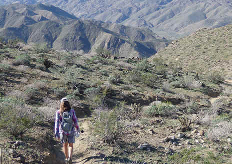 Monumento nazionale Mojave Trails