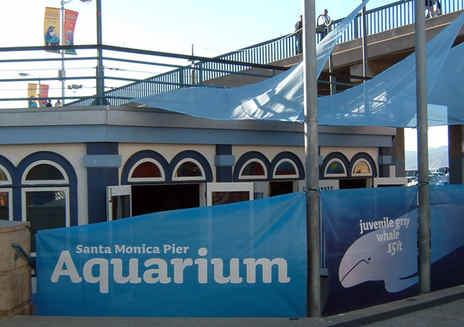 サンタモニカ・ピア水族館