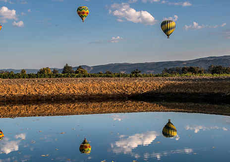 Special Tours in Napa Valley