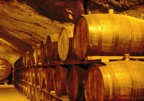 와인 동굴 (Wine Caves)