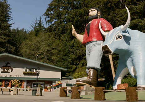 Things to Do in Redwood National Park