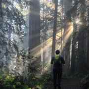 Redwood National & State Park – informazioni generali