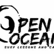 Open Ocean Surfing