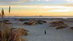 10 Perfect Beach Towns Coronado Beach Dusk BoyRunning 645x340