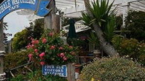 Big Sur Dining  Explore Big Sur, CA | Monterey C