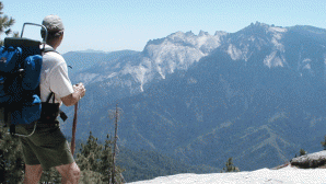 킹스 캐니언 시닉 바이웨이 Giant Sequoia