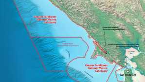캘리포니아의 놀라운 해안 보존 구역 Greater Farallones National Mari