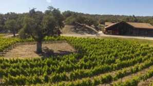 Zaca Mesa 酒庄  Handcrafted Estate Grown Wines |