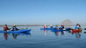 Highway One's Most Scenic Stops Morro Bay California Guided Kaya