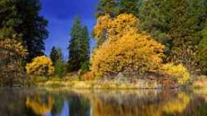 I colori dell'autunno in California P0071060_ahjumawi