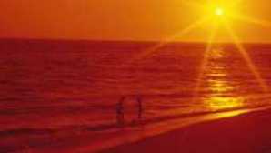 로스앤젤레스 인근에서 즐기는 고래 관찰 Pacific+Ocean+at+sunset_thmb