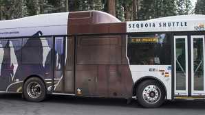 Grant Grove Park Shuttles - Sequoia & Kings 