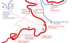 Sistema de Transporte Regional da Área de Yosemite (YARTS) Restoration of the Mariposa Grov