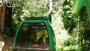 Skunk Train Ride the SkyTrail at Trees of My