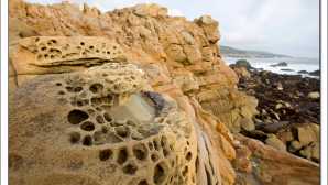 California’s Amazing Coastal Preserves Salt Point SP