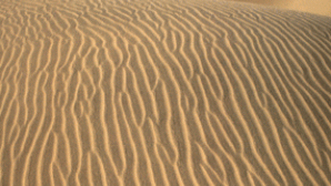 Sand Dunes - Death Valley Nation