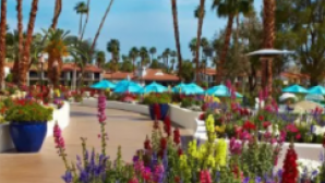 Rancho Las Palmas Resort et Spa  Screen Shot 2016-11-04 at 1.36.43 PM