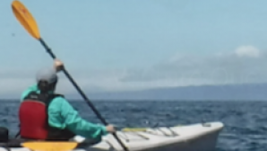Moss Landing: alla scoperta delle balene a nord di Monterey  Screen Shot 2016-11-07 at 2.25.58 PM