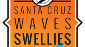 Santa Cruz Surf Culture Surf Shop - School, Lessons, Ins