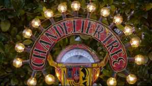 Video_KeyFrameOnly_Curated_ChandelierTree