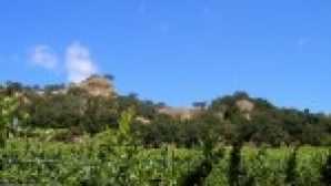 캘리포니아의 와인 로드 buttnerfamilysunolvalleyvineyard-2