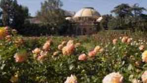 expo-epicc-rose-garden