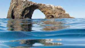 Guided adventures at Channel Islands vca_channelislands_resource_256