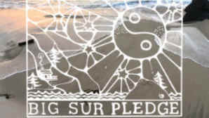 Big Sur Pledge
