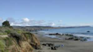 Beaches in San Luis Obispo County vca_resource_hearstbeach_256x180