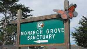 Monarch Grove Sanctuary vca_resource_monarchgrove_256x180