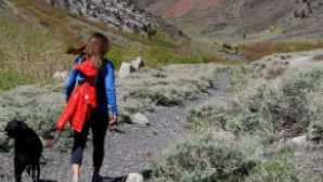 Pacific Crest Trail to Sonora Peak vca_resource_monohiking_256x180