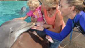 SeaWorld San Diego para Crianças Pequenas vca_resource_seaworld_256x180