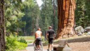 Sequoia High Sierra Camp vca_resource_sequoiakings_256x180