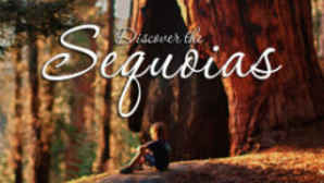 Sequoia Tourism Council