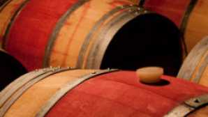 ナパバレーのワインとワイナリー vca_resource_silvertrident_256x180