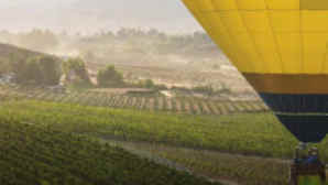 Hot-Air Ballooning in Temecula Valley