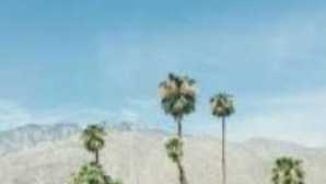 Spotlight: Greater Palm Springs vca_resource_visitpalmsprings_256x180