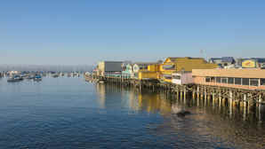 Monterey Bay Aquarium: Tours & Adventures wrlyt03h