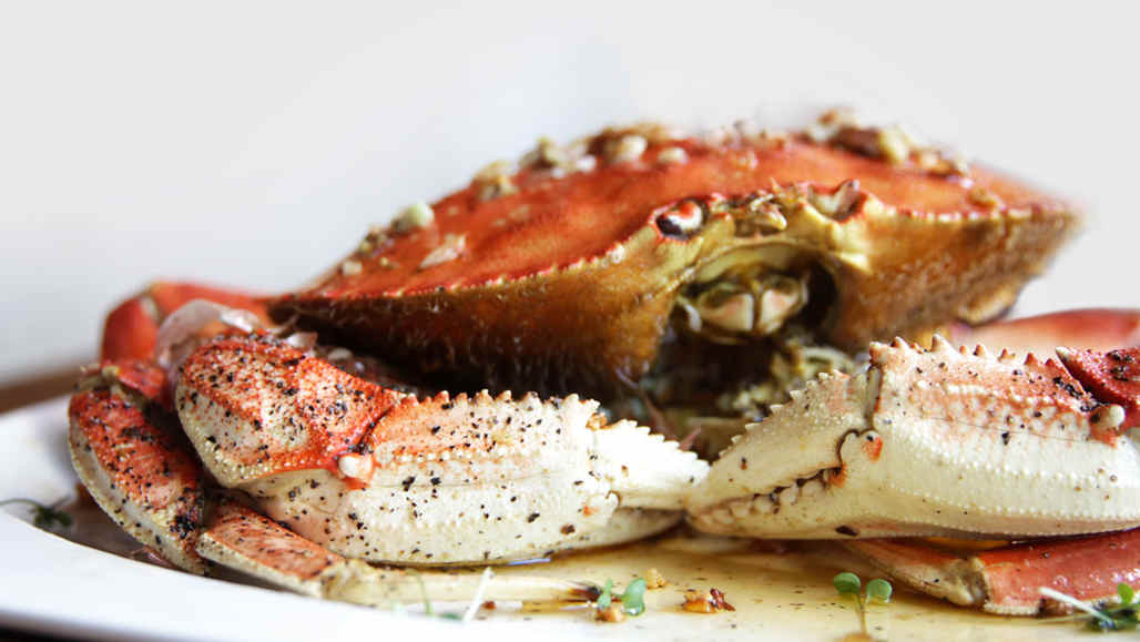 San Francisco’s To-Die-For Dungeness Crab  youtube_d365tv-1280x720-crustacean