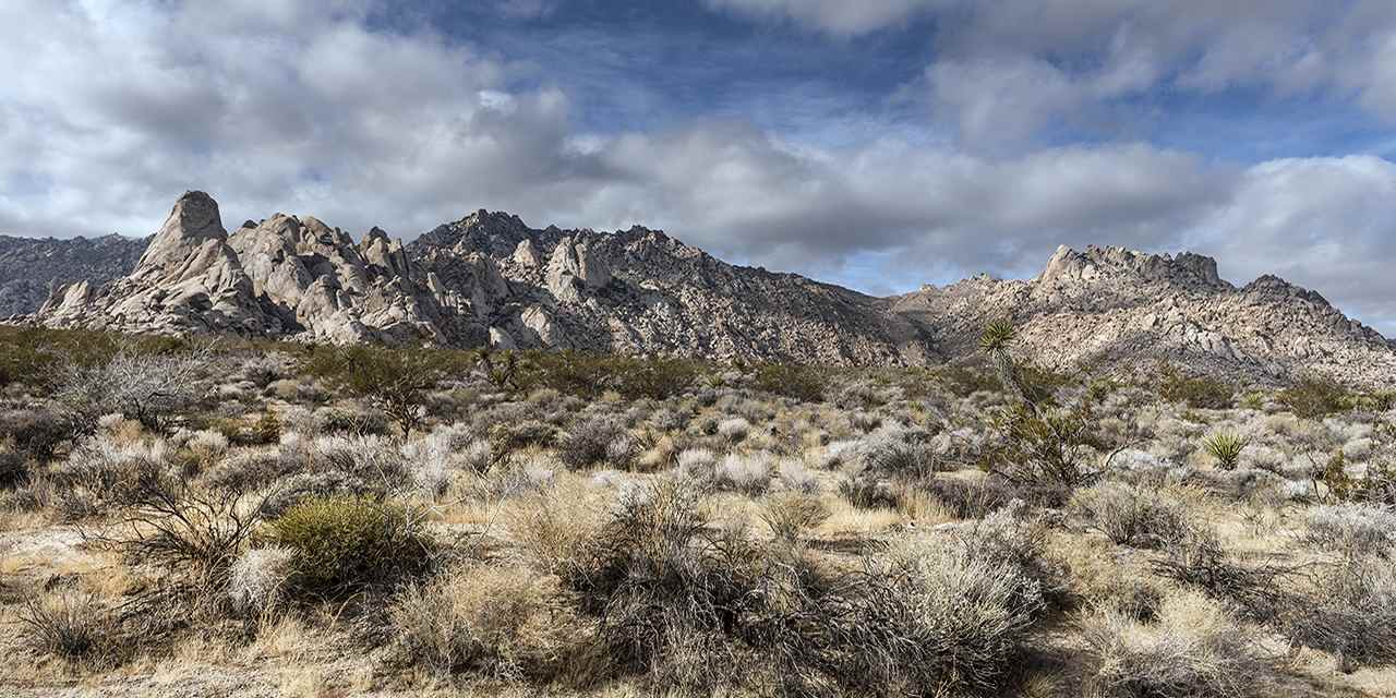 Mojave National Preserve.