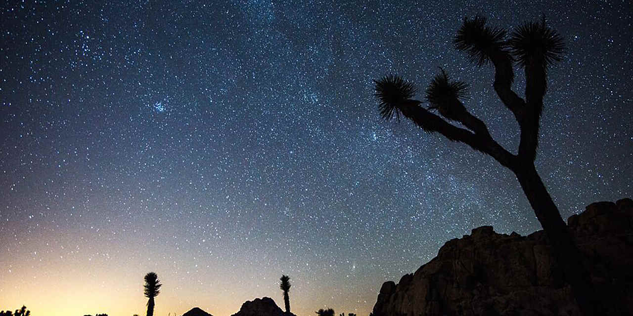 Guided Adventures at Joshua Tree
