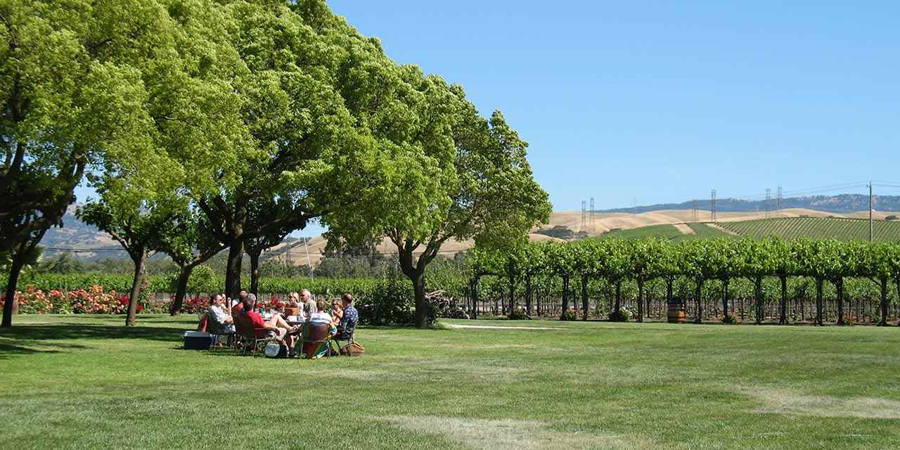 Tesla Road - Livermore Wine Country