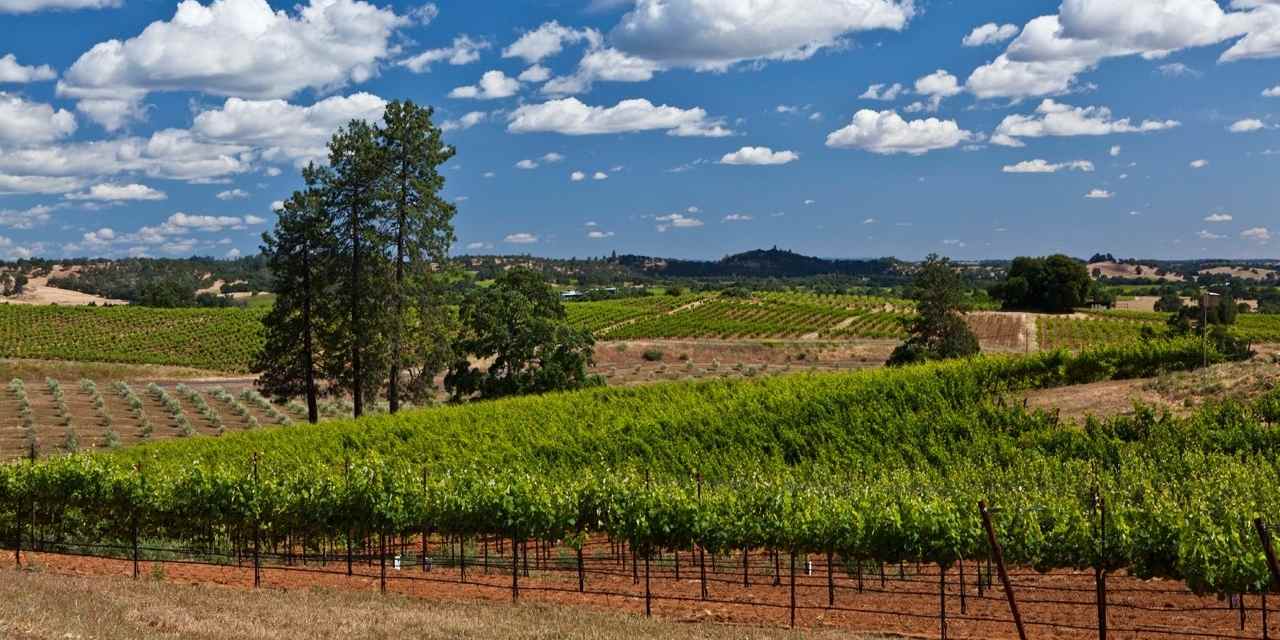Sip Wine in the Gold Country 